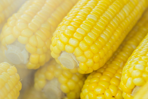 All about Corn for Babies