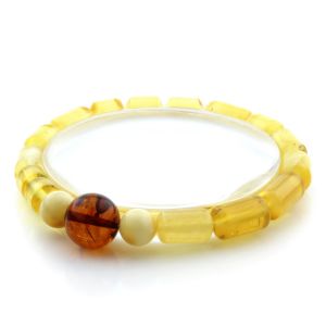Adult Baltic Amber Bracelet Cylinder Round Beads 12mm 7gr. AD105