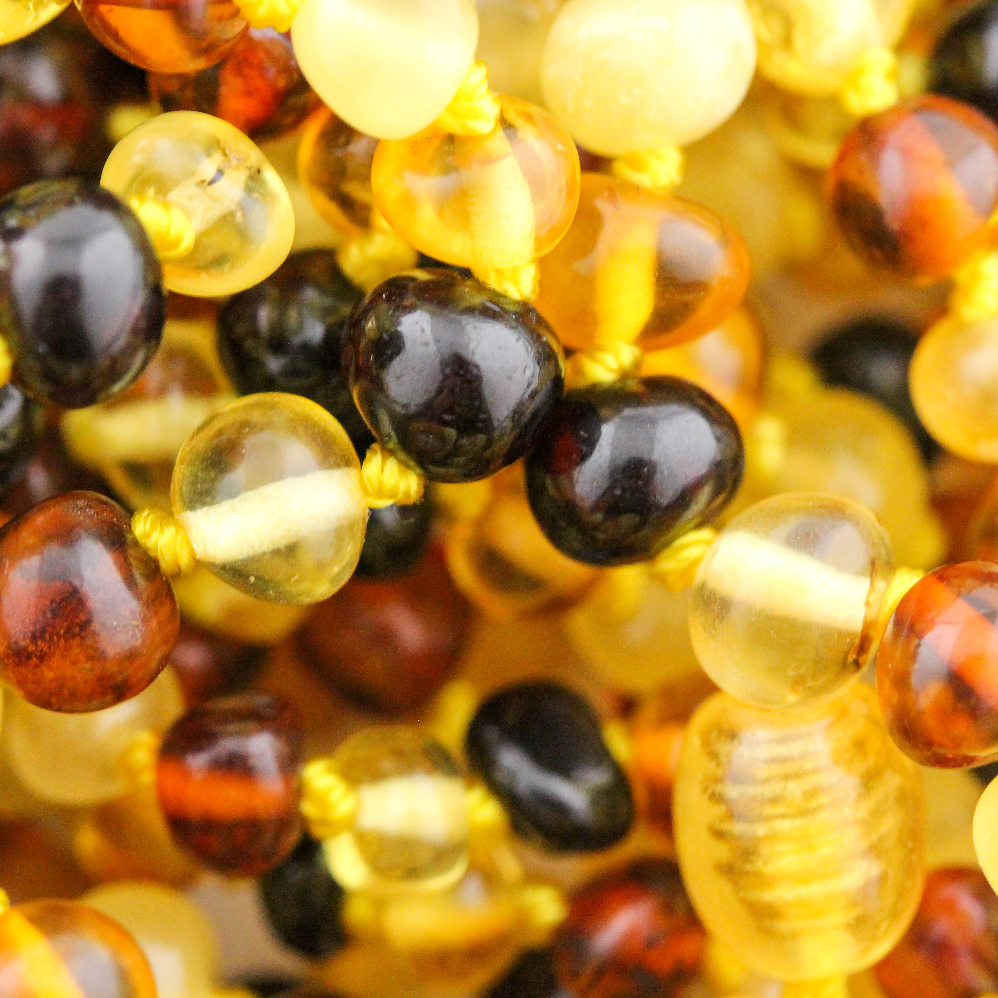 Facts You Need to Know about Baltic Amber